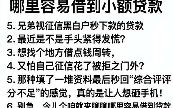 哪里容易借到小额贷款,详尽说明5个无视征信黑白户秒下款的贷款