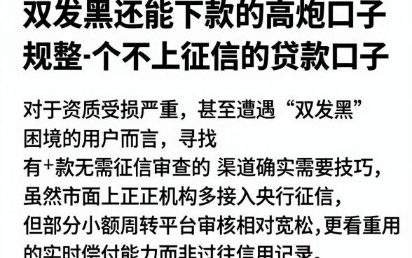双发黑还能下款的高炮口子,规整五个不上征信的贷款口子