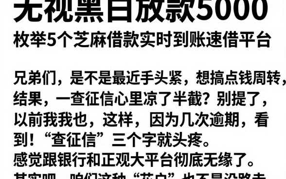 无视黑白放款5000,枚举5个芝麻借款实时到账速借平台