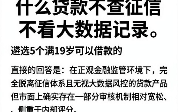 什么贷款不查征信不看大数据记录，遴选5个满19岁可以借款的app