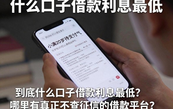 什么口子借款利息最低，详细阐述5个20岁可以借钱平台不查征信的平台