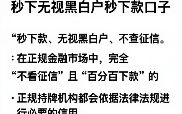 秒下无视黑白户秒下款口子，详细阐述五个20岁可以借钱平台不查征信的app