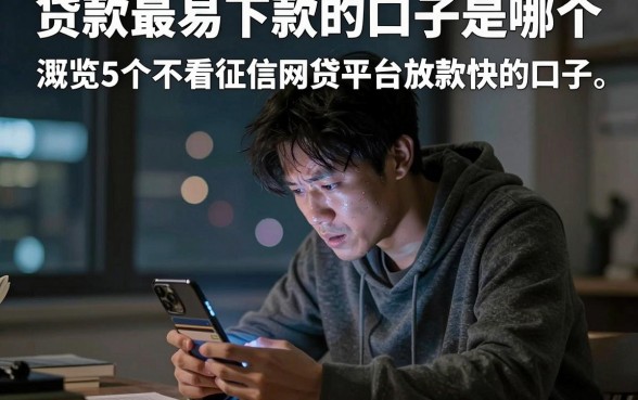 贷款最易下款的口子是哪个，概览5个不看征信网贷平台放款快的口子