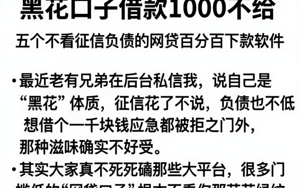 黑花口子借款1000不给,胪列五个不看征信负债的网贷百分百下款软件