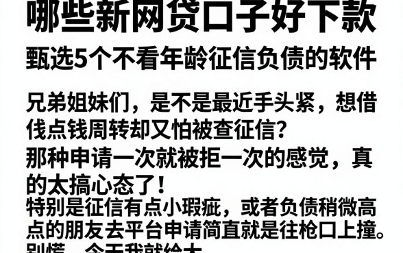 哪些新网贷口子好下款，甄选5个不看年龄征信负债的软件