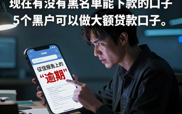 现在有没有黑名单能下款的口子,详细阐述5个黑户可以做大额贷款口子