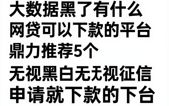 大数据黑了有什么网贷可以下款的平台,鼎力推荐5个无视黑白无视征信申请就下款的平台