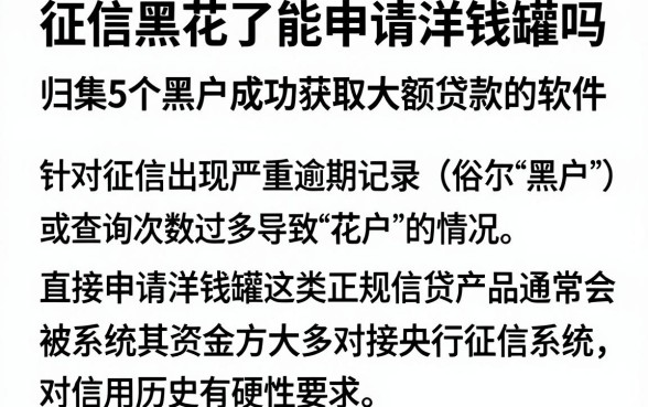 征信黑花了能申请洋钱罐吗,归集5个黑户成功获取大额贷款的软件