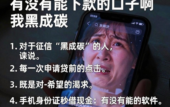 有没有能下款的口子啊我黑成碳，条列五个手机身份证秒借现金的软件