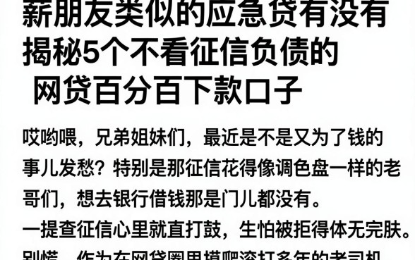 薪朋友类似的应急贷有没有，揭秘5个不看征信负债的网贷百分百下款口子