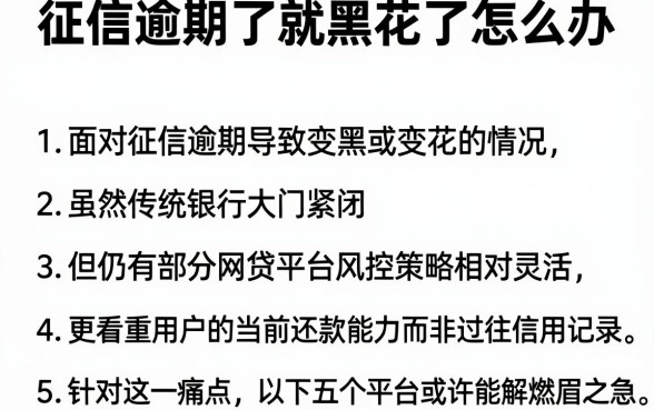 征信逾期了就黑花了怎么办，罗列五个对征信宽松的网贷口子