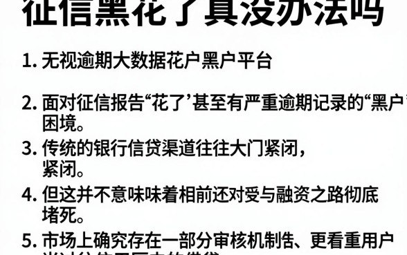 征信黑花了真没办法吗，详细阐述五个无视逾期大数据花户黑户平台
