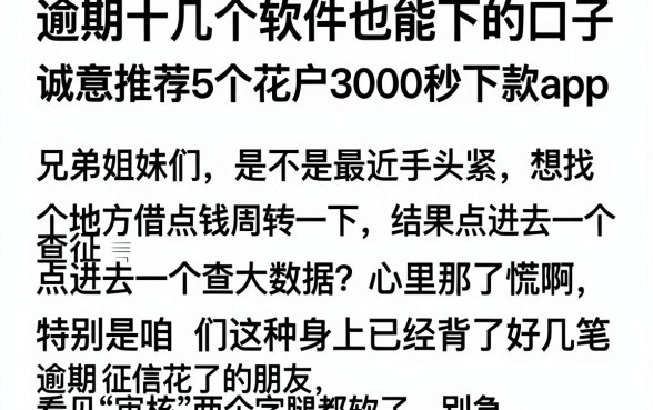 逾期十几个软件也能下的口子，诚意推荐5个花户3000秒下款app