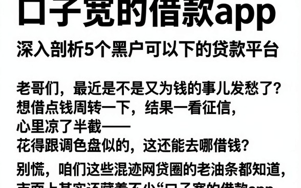 口子宽的借款app,深入剖析5个黑户可以下的贷款平台