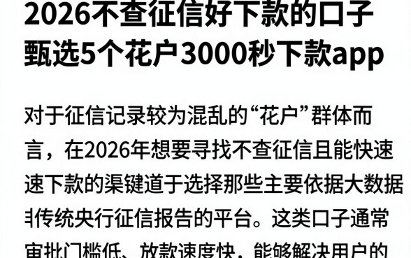 2026不查征信好下款的口子，甄选5个花户3000秒下款app