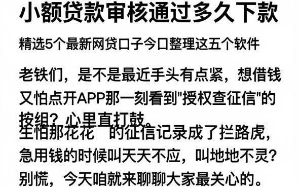 小额贷款审核通过多久下款，精选5个最新网贷口子今日整理这五个软件