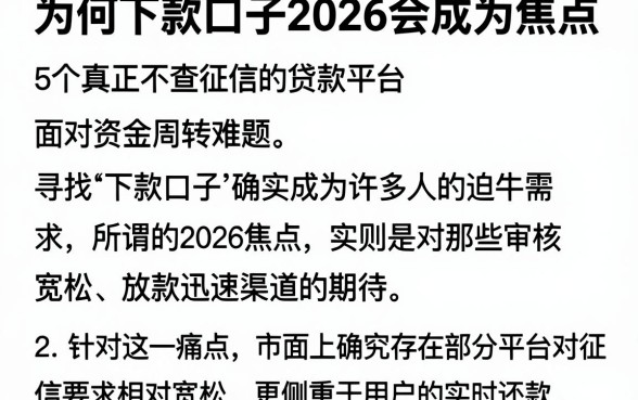 为何下款口子2026会成为焦点，详细阐述5个真正不查征信的贷款平台