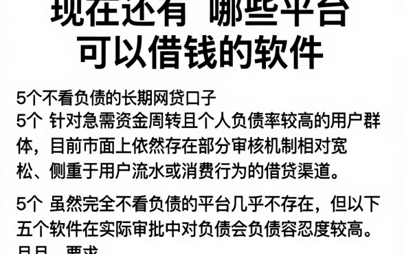 现在还有哪些平台可以借钱的软件,详尽说明5个不看负债的长期网贷口子