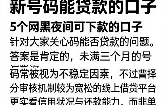 新号码能贷款的口子，详尽说明5个网黑夜间可下款的口子