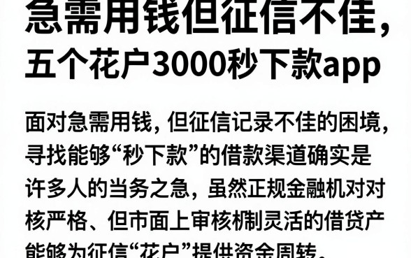 急需用钱但征信不佳,概览五个花户3000秒下款app