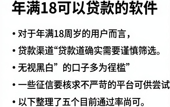 年满18可以贷款的软件，整合五个无视黑白的网贷口子