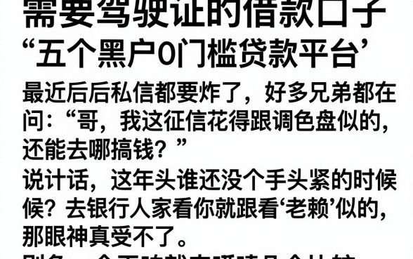 需要驾驶证的借款口子，详细阐述五个黑户0门槛贷款平台