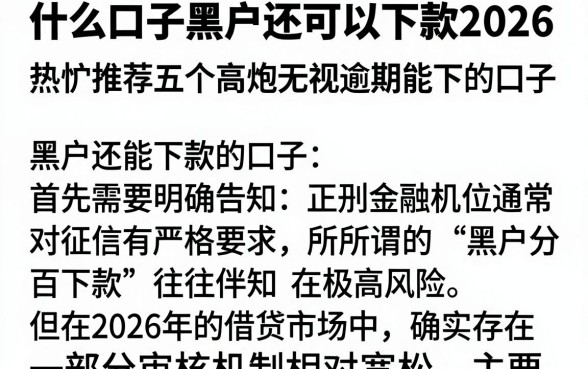 什么口子黑户还可以下款2026,热忱推荐五个高炮无视逾期能下的口子