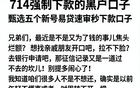 714强制下款的黑户口子,甄选五个新号易贷速审秒下款口子
