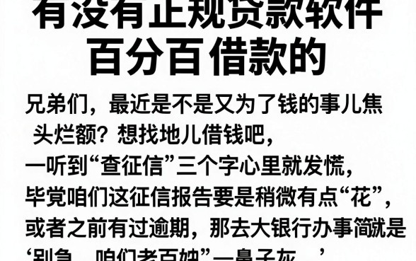 有没有正规贷款软件百分百借款的，详尽说明五个真正无视逾期大数据的网贷软件