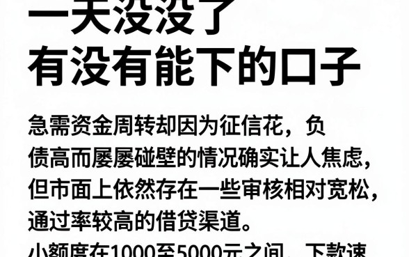 一天没没了有没有能下的口子,整合5个1000至5000的小额贷款app
