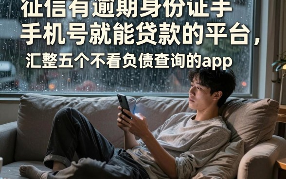 征信有逾期身份证手机号就能贷款的平台,汇整五个不看负债查询的app