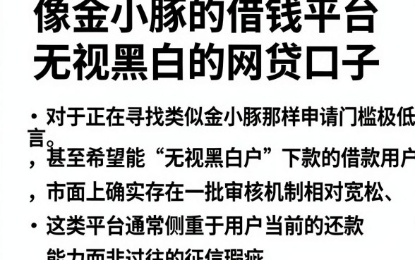 像金小豚的借钱平台，归纳五个无视黑白的网贷口子