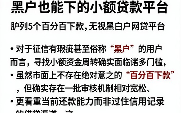 黑户也能下的小额贷款平台,胪列5个百分百下款无视黑白户网贷平台