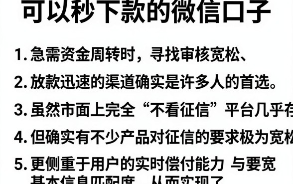 可以秒下款的微信口子,条列5个贷款好做不看征信的软件