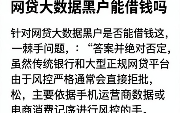 网贷大数据黑户能借钱吗，深入剖析五个手机可以临时借钱的软件