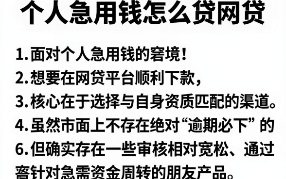 个人急用钱怎么贷网贷，深入剖析五个逾期必下款的平台