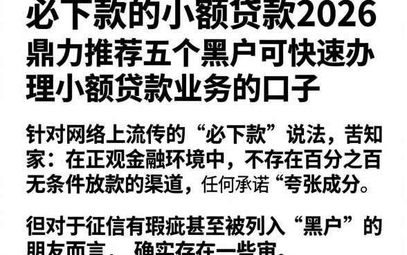 必下款的小额贷款2026，鼎力推荐五个黑户可快速办理小额贷款业务的口子