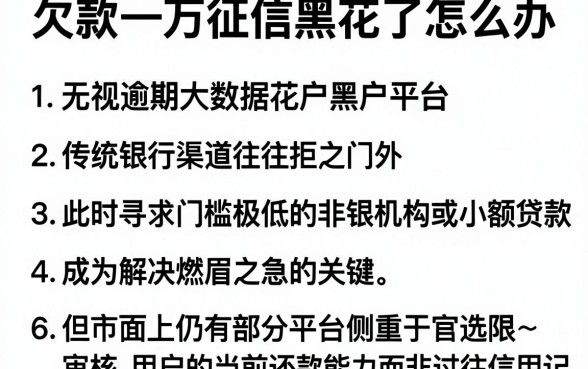 欠款一万征信黑花了怎么办，细致阐述五个无视逾期大数据花户黑户平台