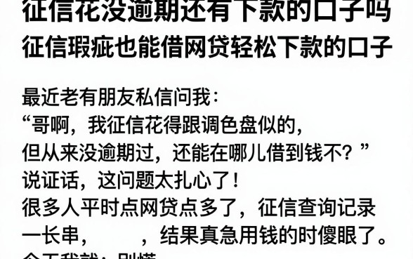 征信花没逾期还有下款的口子吗,枚举五个征信瑕疵也能借网贷轻松下款的口子