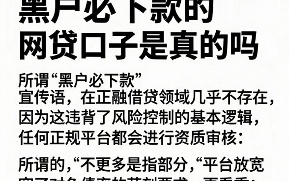 黑户必下款的网贷口子是真的吗，深入剖析五个不看负债的长期网贷app