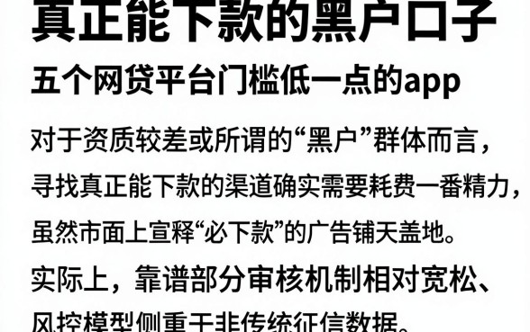真正能下款的黑户口子，概览五个网贷平台门槛低一点的app