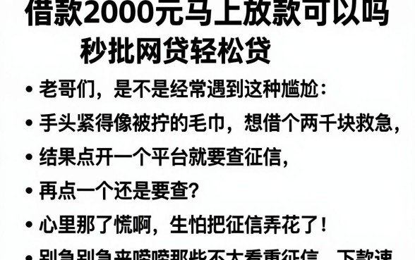 借款2000元马上放款可以吗，理出五个秒批网贷轻松贷的软件