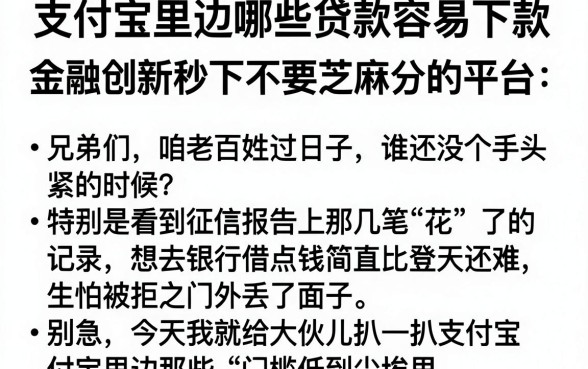 支付宝里边哪些贷款容易下款，整合五个金融创新秒下不要芝麻分的平台