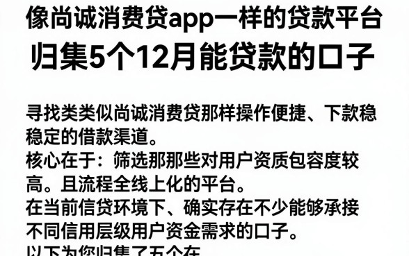 像尚诚消费贷app一样的贷款平台，归集5个12月能贷款的口子