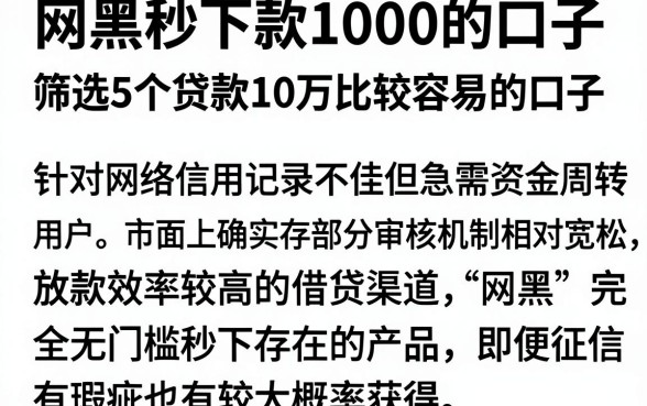 网黑秒下款1000的口子,筛选5个贷款10万比较容易的口子