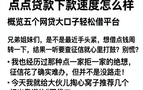 点点贷款下款速度怎么样，概览五个网贷大口子轻松借平台