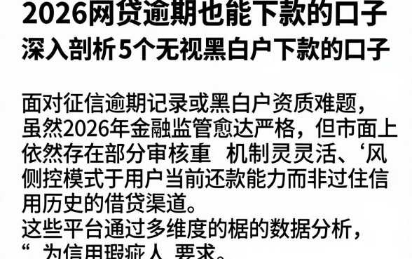 2026网贷逾期也能下款的口子,深入剖析5个无视黑白户下款的口子