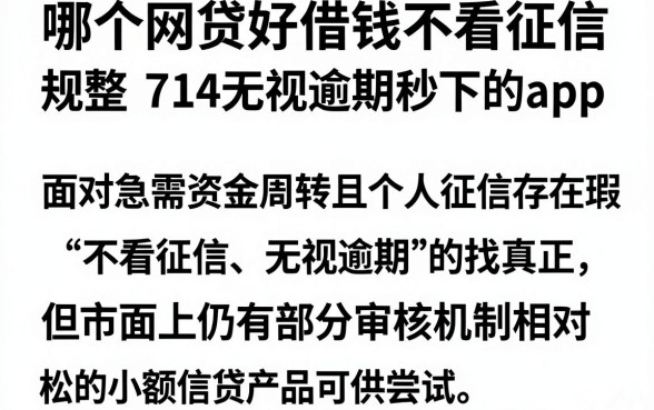哪个网贷好借钱不看征信，规整五个714无视逾期秒下的app