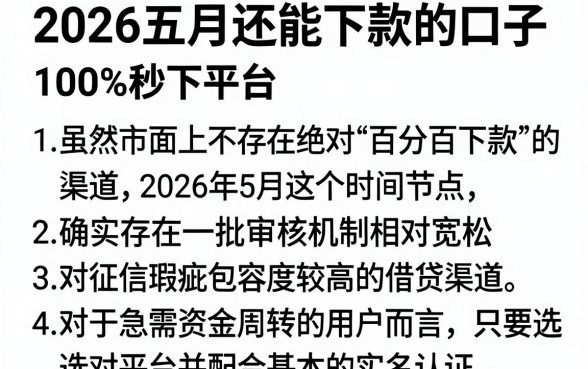2026五月还能下款的口子，胪列5个无视征信黑白100%秒下平台