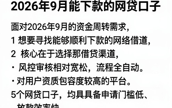 2026年9月能下款的网贷口子，详细阐述5个简单容易贷款口子